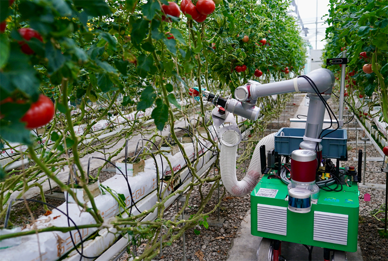 恒溫恒濕可應(yīng)用于農(nóng)業(yè)生產(chǎn)設(shè)備的試驗(yàn)測試